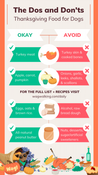 10 wskazówek dotyczących bezpieczeństwa psów podczas Święta Dziękczynienia (związanych z posiłkami i podróżą)