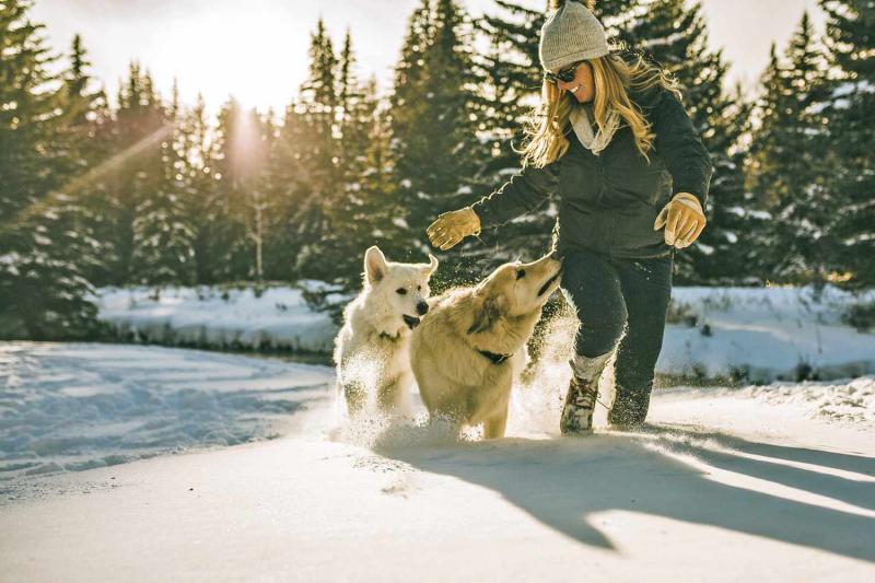 Dlaczego psy kochają śnieg? 3 sprawdzone przez weterynarzy powody i porady dotyczące pielęgnacji