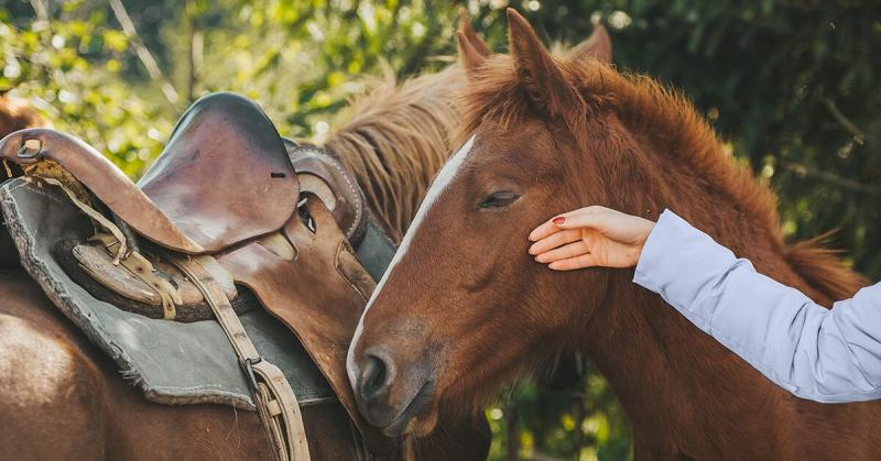 10 korzyści zdrowotnych płynących z jazdy konnej: Fizyczne, psychiczne i najczęściej zadawane pytania