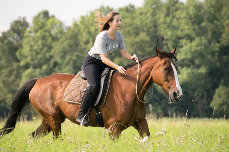 8 korzyści zdrowotnych płynących z terapii z udziałem koni (na podstawie badań naukowych)