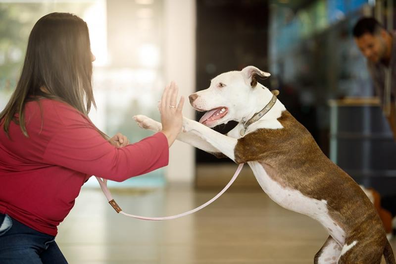 1. Weź pod uwagę jego cechy i temperament